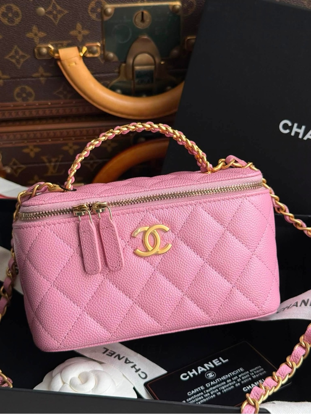 CHANEL Pink Quilted Vanity Crossbody with Gold Hardware-CAVIAR